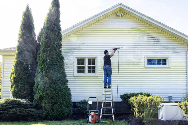 Best Roof Pressure Washing  in Pierson, FL